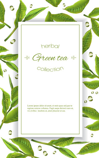 茶具茶杯茶壶茶文化设计简约清新绿叶素材
